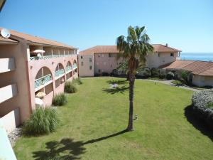 a palm tree in a yard next to a building at Cala di Sognu in Moriani Plage