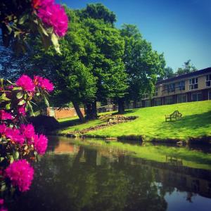 - une vue sur une rivière aux fleurs roses et un bâtiment dans l'établissement Inn On The Lake, à Gravesend