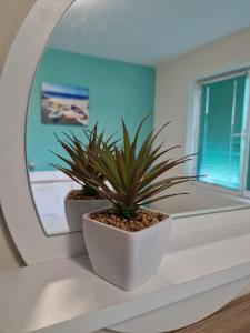 Kép Exotic Guest House szállásáról Szozopolban a galériában