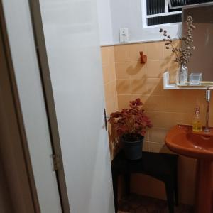 a bathroom with a sink and a potted plant at Casa Central in Socorro