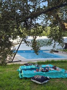 a blue blanket on the grass next to a swimming pool at Maya House - Villa Cap Zbib in Banī ‘Aţāʼ