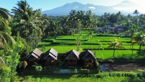 a village in the middle of a rice field at Vanilla Garden in Tetebatu