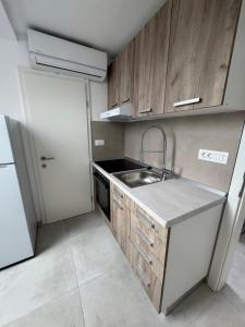 Η κουζίνα ή μικρή κουζίνα στο Apartmaji Vanja - garsonjera