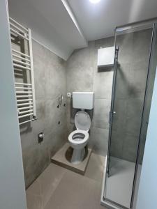 Ένα μπάνιο στο Apartmaji Vanja - garsonjera