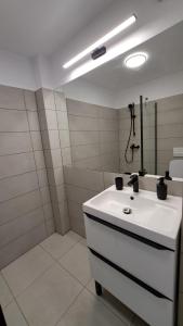 a bathroom with a white sink and a mirror at Cosy House 400 m from Iulius Town in Timişoara +25 photos