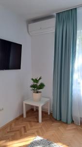 a living room with a potted plant and a tv at Cosy House 400 m from Iulius Town in Timişoara