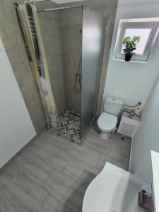 Koupelna v ubytování Casa AnaMaria