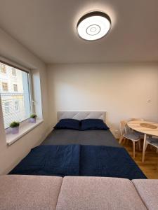 a bedroom with a large bed and a table at Visteria 10 in České Budějovice