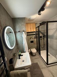 a bathroom with a sink and a shower and a toilet at Visteria 10 in České Budějovice