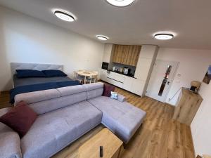 a living room with a couch and a bed at Visteria 10 in České Budějovice