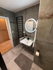 a bathroom with a sink and a mirror at Visteria 10 in České Budějovice +24 photos