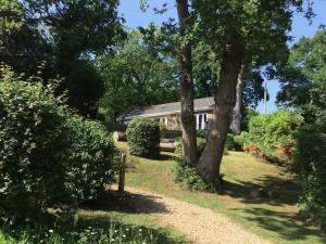 een huis in het midden van een tuin met bomen bij Kipper Cottage in Wootton Bridge +39 foto's