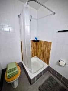 a bathroom with a tub and a toilet and a shower at Apart Weisshorn WHG 122 Valère B in Leukerbad +7 photos