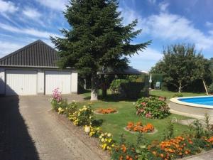 a garden with flowers and a tree and a swimming pool at Ferienwohnung an der Müritz 1 Groß in Bollewick