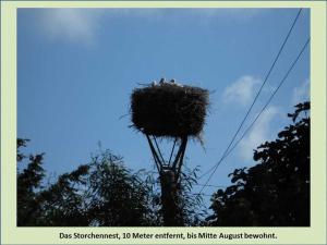 a nest on top of a utility pole at Grüne Idylle in Borrentin