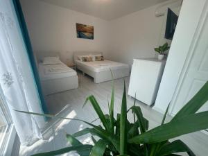 Postel nebo postele na pokoji v ubytování Casa AnaMaria