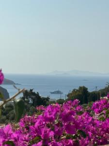 Φυσικό τοπίο κοντά σε αυτή η παραθεριστική κατοικία