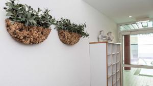 two plants on a wall in a room at Villa a cappella A6 in Binz