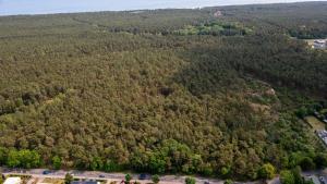 an aerial view of a forest of trees at Ferienhaus Paul in Trassenheide