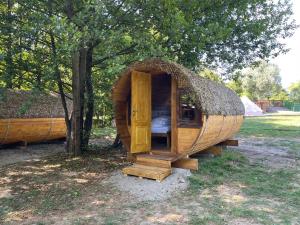 Zahrada ubytování Campingul Apusenilor