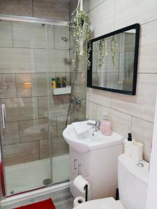 a bathroom with a shower and a toilet and a sink at 43 Digbeth Private Studio Apart in Birmingham
