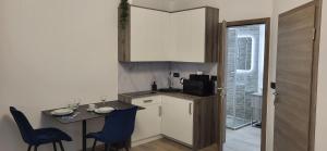 Η κουζίνα ή μικρή κουζίνα στο Apartments Na Žagi