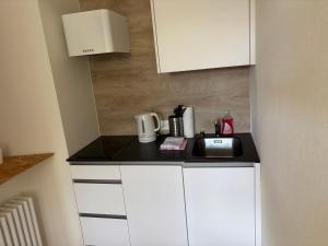 Kuchyň nebo kuchyňský kout v ubytování Hotel des Alpes