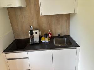 Kuchyň nebo kuchyňský kout v ubytování Hotel des Alpes