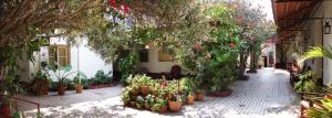 une cour avec de nombreuses plantes en pot et fleurs dans l'établissement Hotel Bristol, à Termas de Río Hondo
