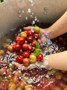 Galeriebild der Unterkunft Lagom Bắc Hà Farmstay in Lào Cai