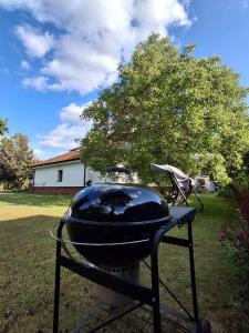 a grill sitting in the grass in a yard at Apart Hostel S8 in Blizne Jasińskiego