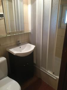 a bathroom with a sink and a shower and a toilet at Willa Sara in Okuninka