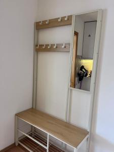 a medicine cabinet with a mirror in a room at Fe-Wo im Herzen von Weingarten in Niederdorla +1 photo