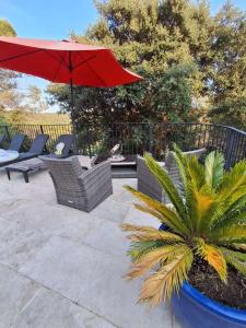 un patio avec des chaises et un parasol et un palmier dans l'établissement Silva room 4 personnes, à La Celle-sous-Gouzon