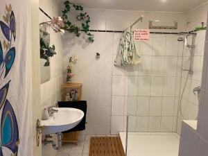 Foto dalla galleria di 2 Bedroom with Bathroom - Altbauvilla a Burgen