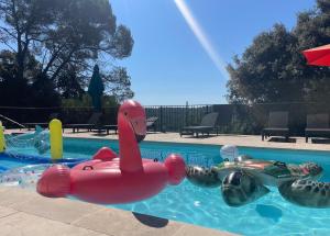 une piscine avec un canard en caoutchouc rose et deux bateaux gonflables dans l'établissement Silva room 4 personnes, à La Celle-sous-Gouzon