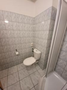 Koupelna v ubytování Hotel Hokejka