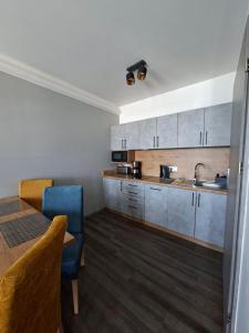 Η κουζίνα ή μικρή κουζίνα στο Apartament Holiday MiS