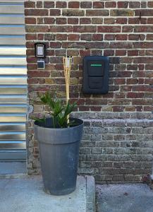 eine Pflanze in einem Topf neben einer Ziegelmauer in der Unterkunft Maison dans corps de ferme Aéroport beauvais 14 minute 