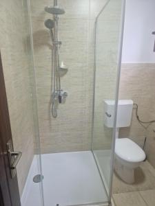 a shower stall with a toilet in a bathroom at La Mona in Bîrsana
