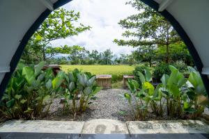 Billede fra billedgalleriet på Sawah Indah View Guesthouse i Timbanglawang 1 + 41 billeder