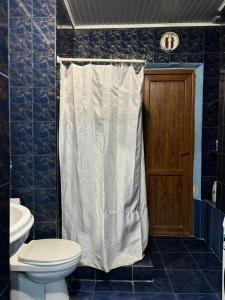 トビリシにあるNana's Apartment with gardenのトイレとシャワーカーテン付きのバスルーム