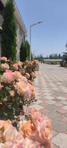 Fotografie z fotogalerie ubytování Коттедж на озере Иссык Куль v destinaci Chok-Tal