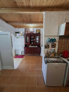 eine Küche mit Herd und Arbeitsplatte in der Unterkunft Vikendica Grahovo in Nikšić
