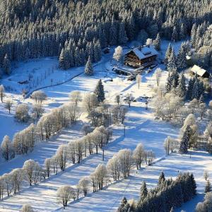 Hotel Alpská vyhlídka v zimě