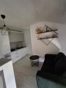 Kuchyň nebo kuchyňský kout v ubytování Guest House Tena