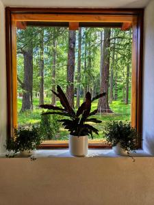 Zahrada ubytování Lärchen Lodge