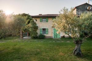 a house with a tree in front of a yard at Dobrinja Residence - A boutique hideaway in Marezige