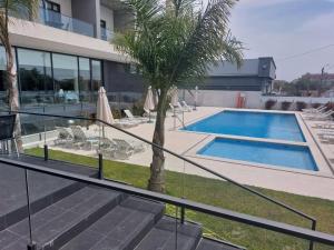 a swimming pool with a palm tree next to a building at Hotel Monte Lírio in Espinho