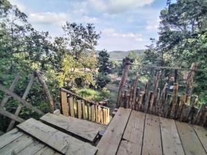 una terraza de madera con vistas a un bosque en Le Ptit Mas, en Salernes 17 fotos más